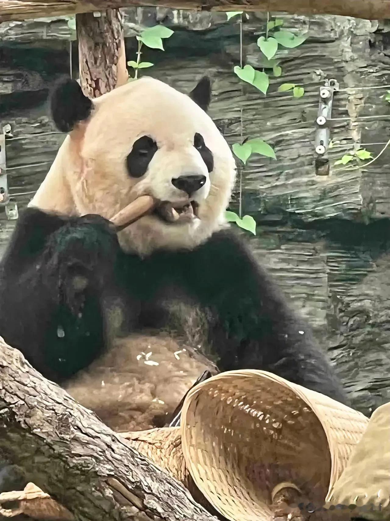 各平台头条不该只被娱乐包裹~~说得好！！
针对近日曝光的食品类液体和化工液体运输