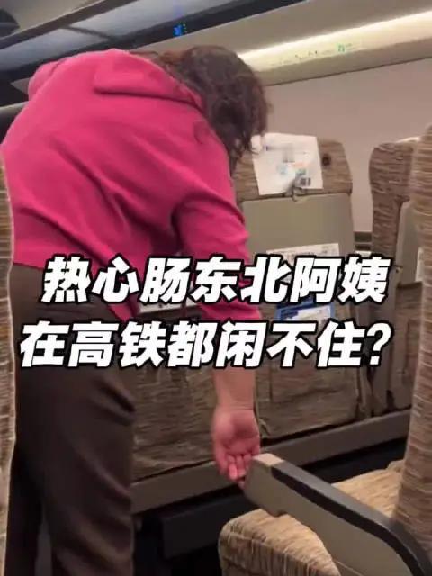 完整榜单曝光！东北阿姨坐5小时高铁闲不住，竟然开始干活，这一幕瞬间刷爆了网络，成