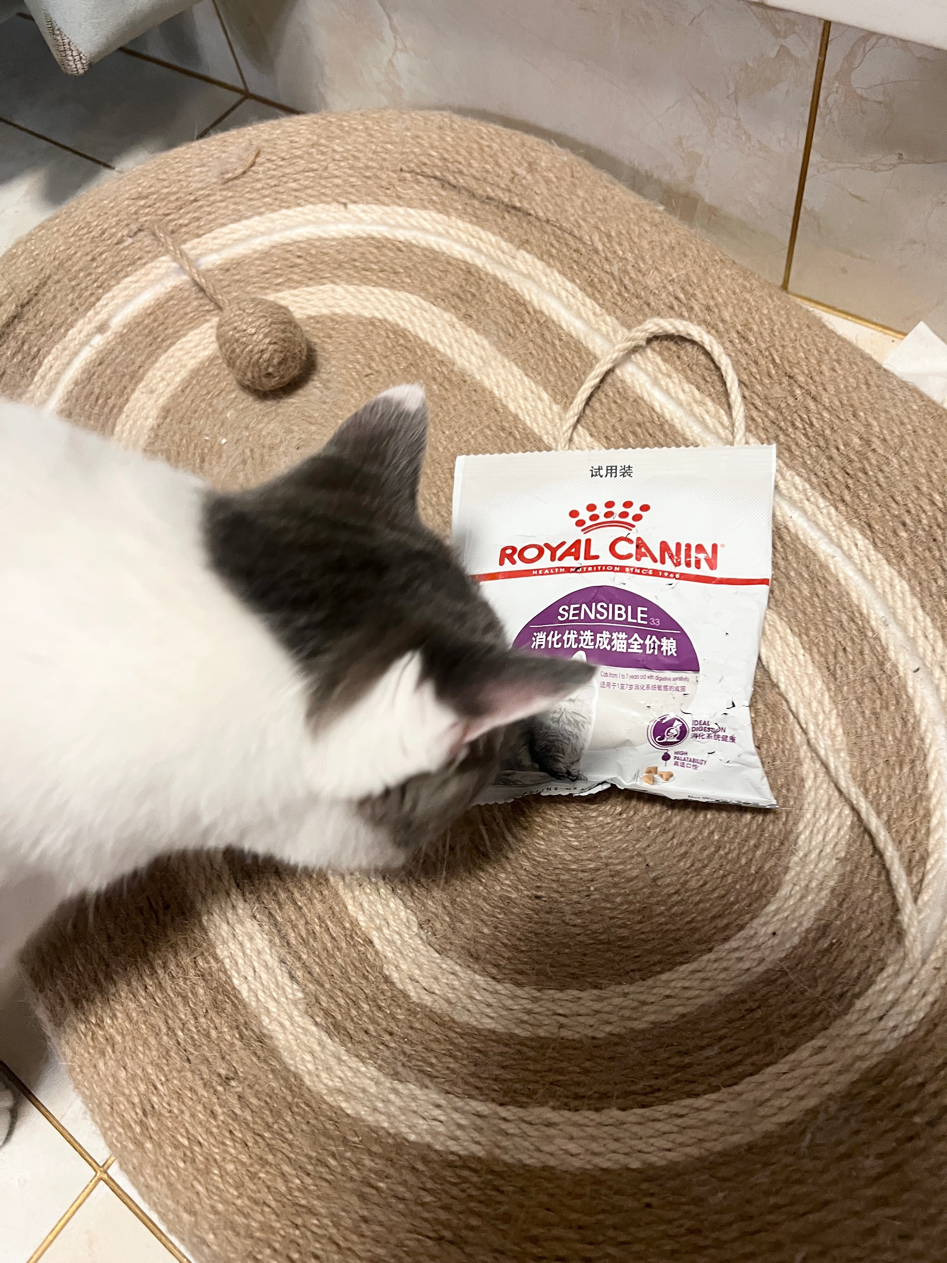 出门忘记加猫粮   回家发现咪碗已空结果就看到某些猫抱着从零食架上偷的试用装猫粮