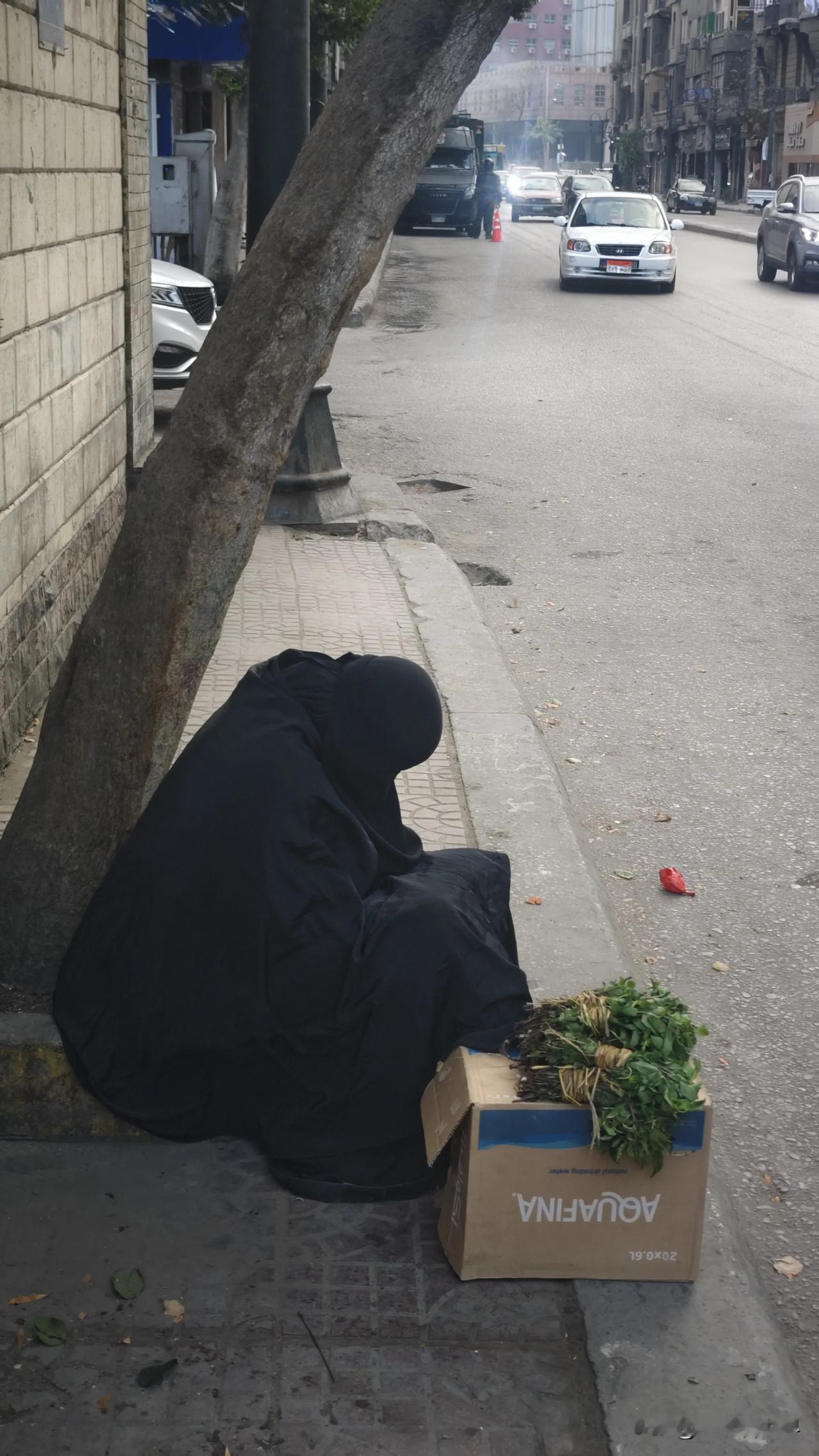 平心而论，中国妇女的地位，可能是全世界最高的。这是我在埃及的感触，当地妇女的地位