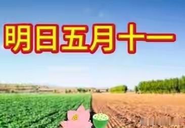 明日五月十一，老辈传的：1不做，2不去，3不吃，赶紧转告家里人
 
农历五月十一