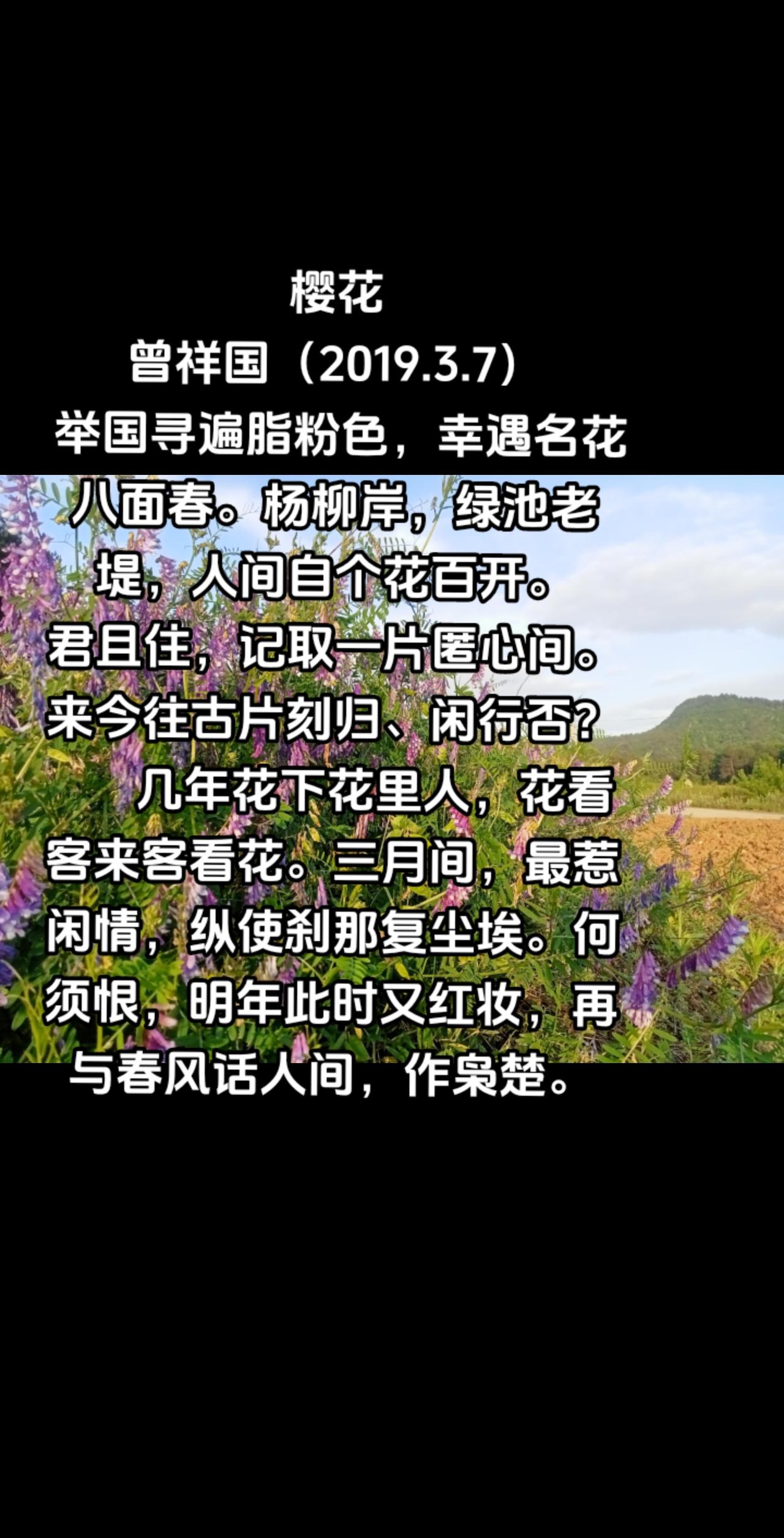 樱花