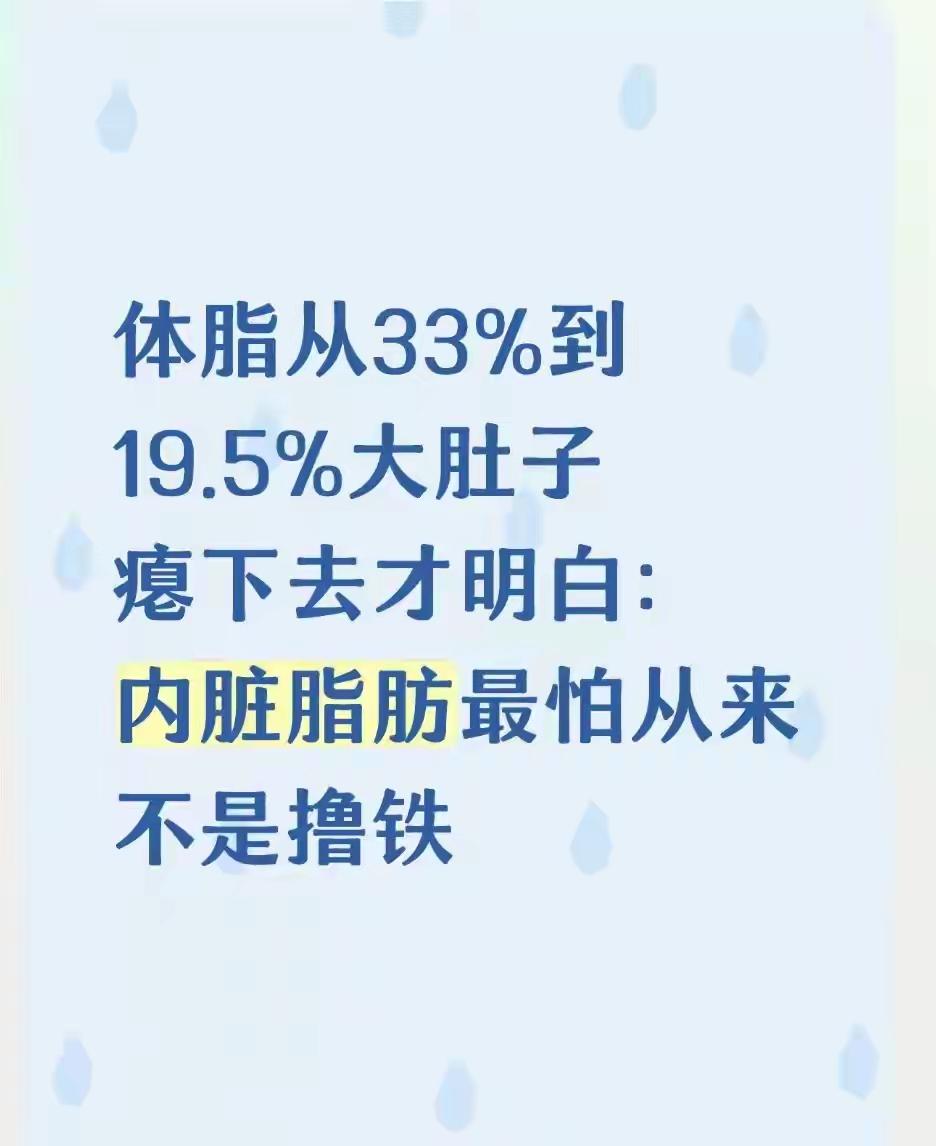 体脂33%降到19.5%终于明白：内脏脂肪最怕的根本不是健身撸铁
 
不少健身的