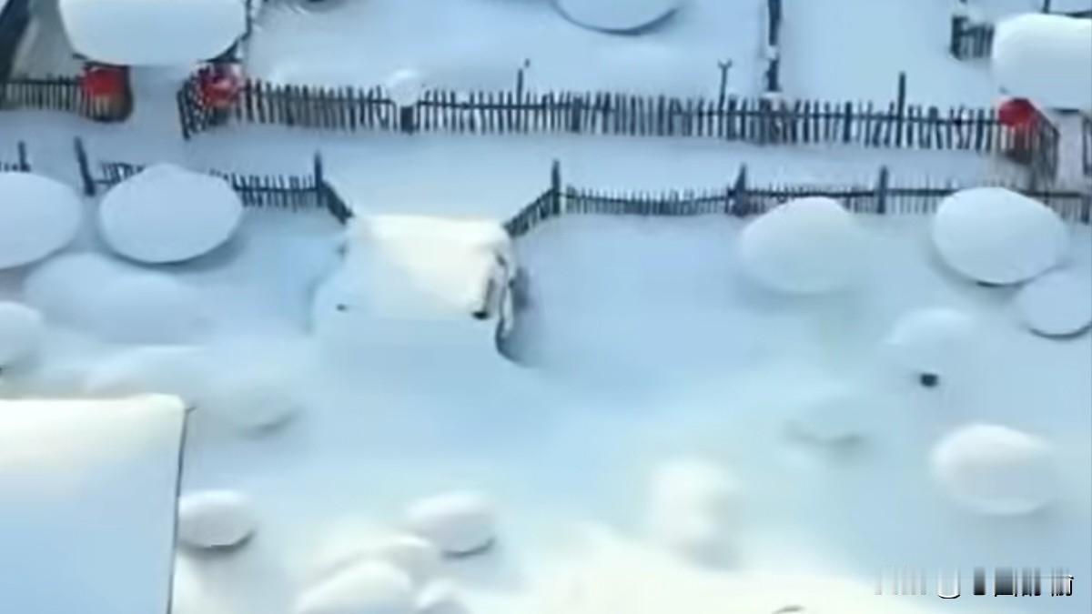 2025年12月的初雪，在颐和园的檐角停驻时，我正踩着咯吱作响的薄雪穿过东宫门，