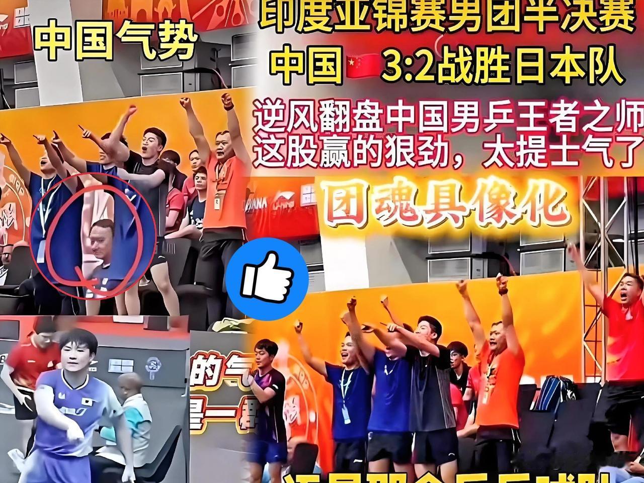刚查了一下
大家发现没，原来

在亚锦赛上的张本智和又是一个丑态百出，赛前大喊大