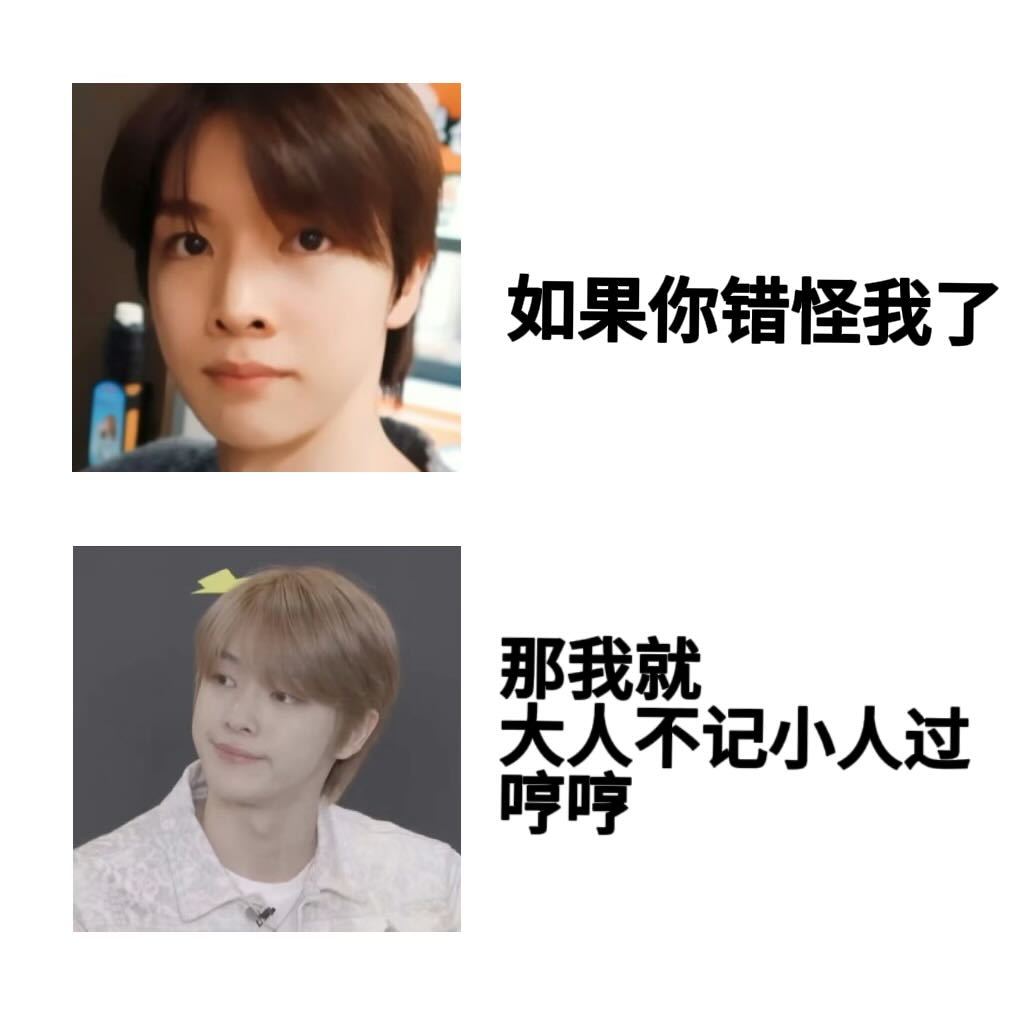 【🪑】你是世界上最可爱的狗 