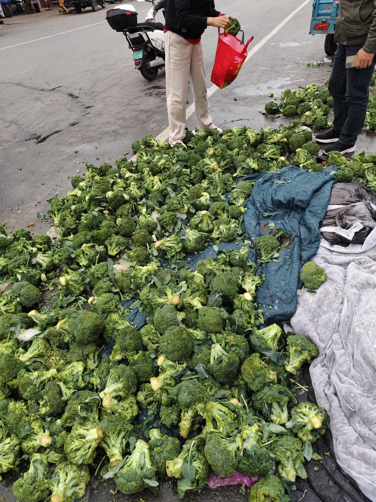在郑州万邦批发市场每天捡菜和水果
现在我已经实现自给自足了
每天都能捡到各种各样