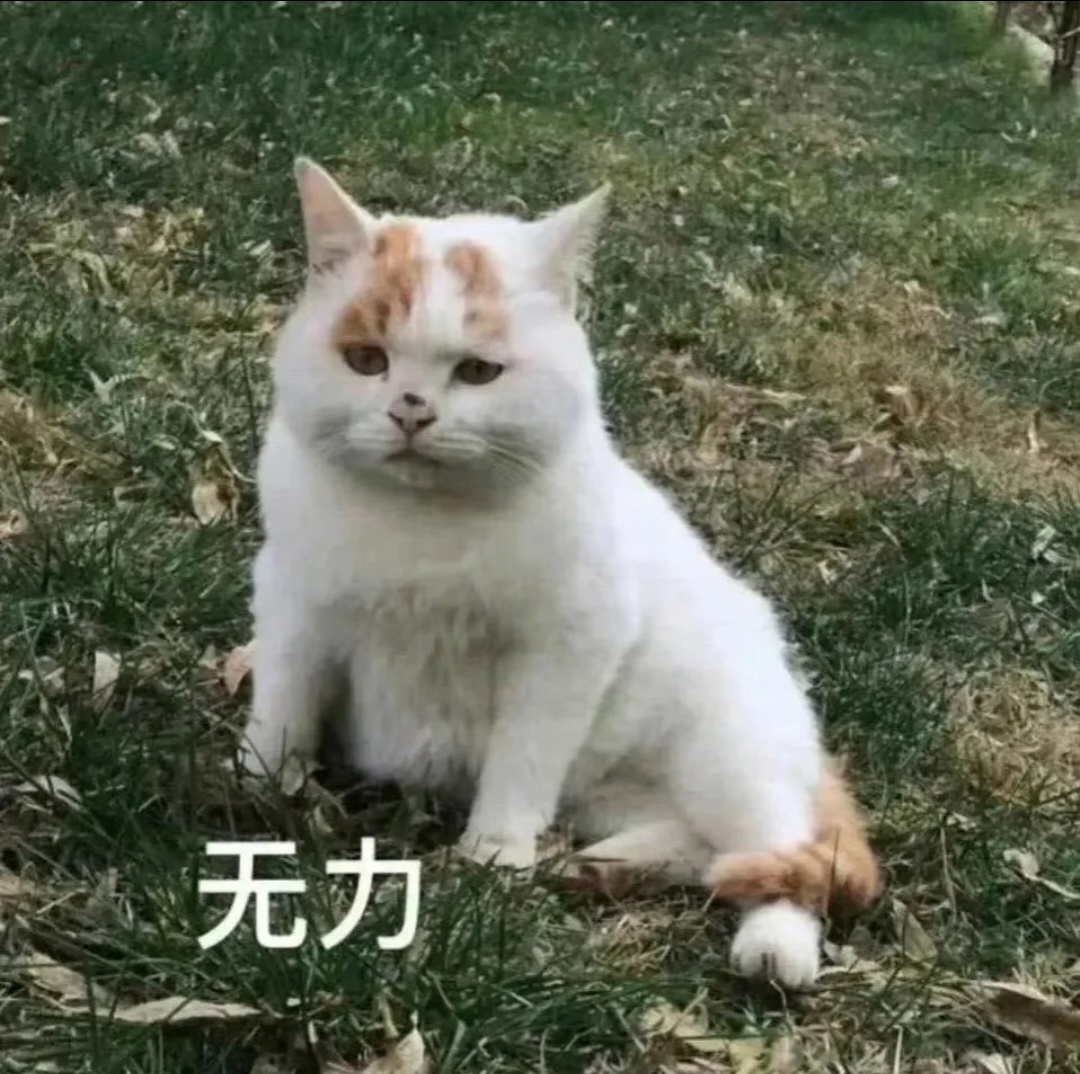好消息坏消息，我撑不到运动会 