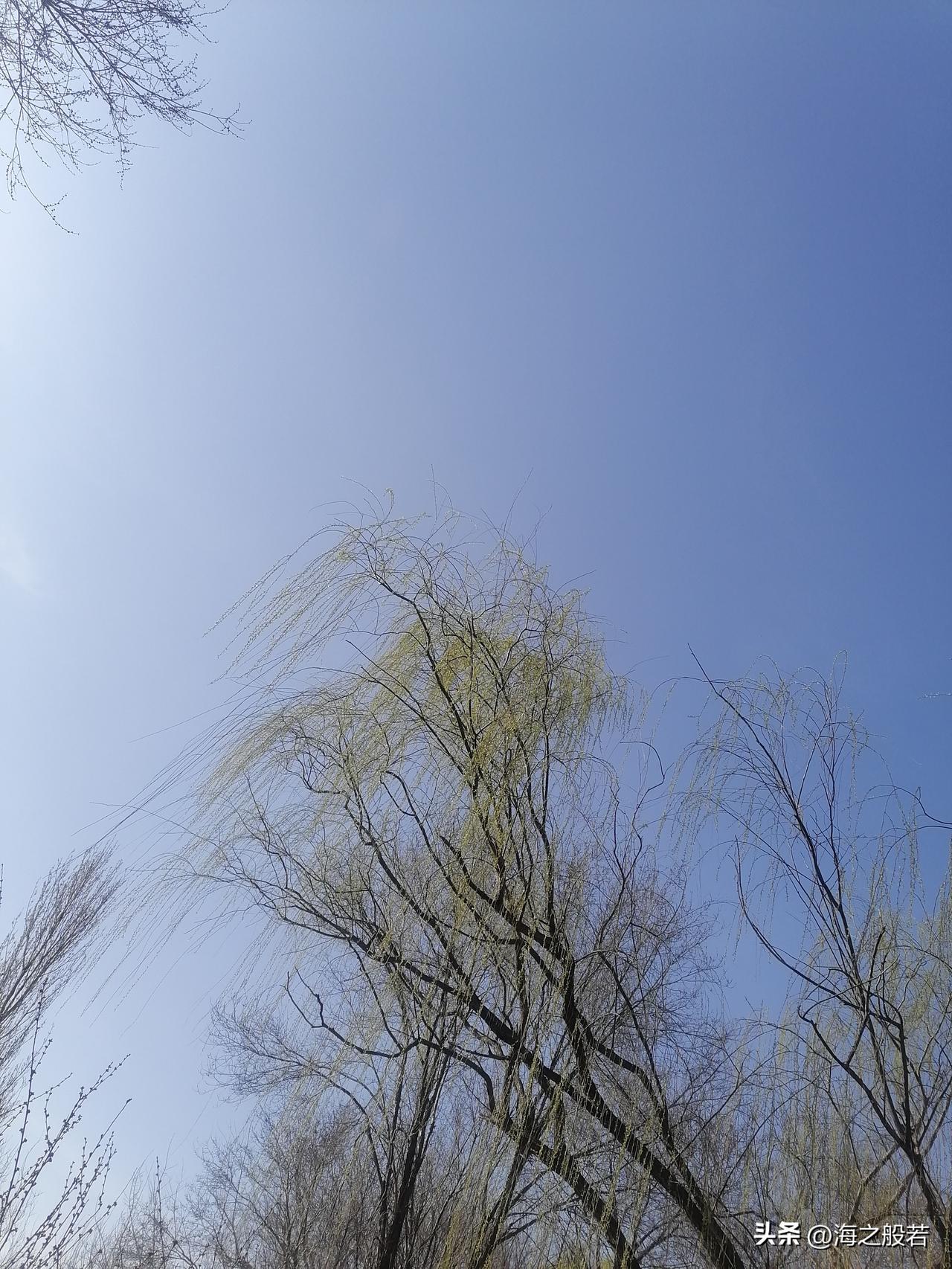 天忌英才啊，张雪峰，那么鲜活的一个人啊，怎么说走就走了呢，接受不了！

还有2个