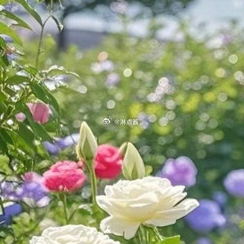 每日一善 每日一善 阳光信用 当你坚信自己的目标能够成功并付出行动，整个世界都会