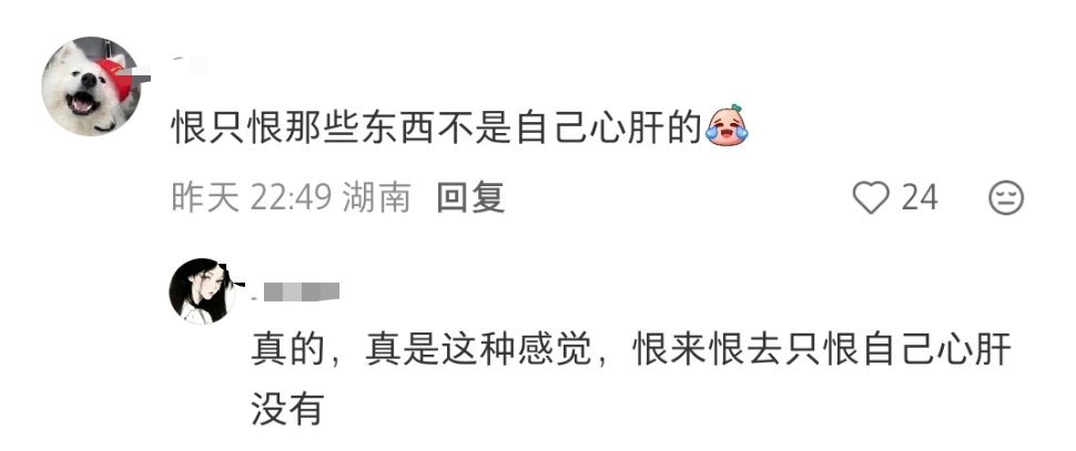 评论区说出大实话