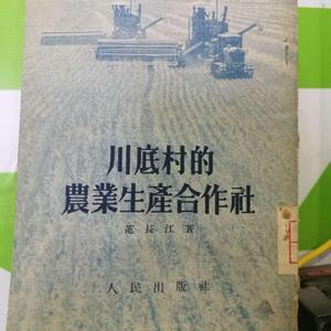 太山小马