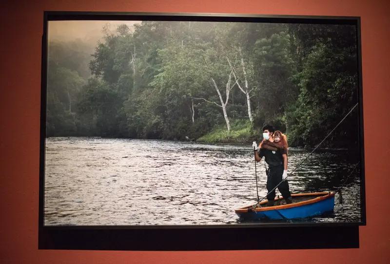 参加晒图笔记大赛，我觉得可以分享些奇闻趣事的图。就说最近国际上的事儿，台军精锐秘