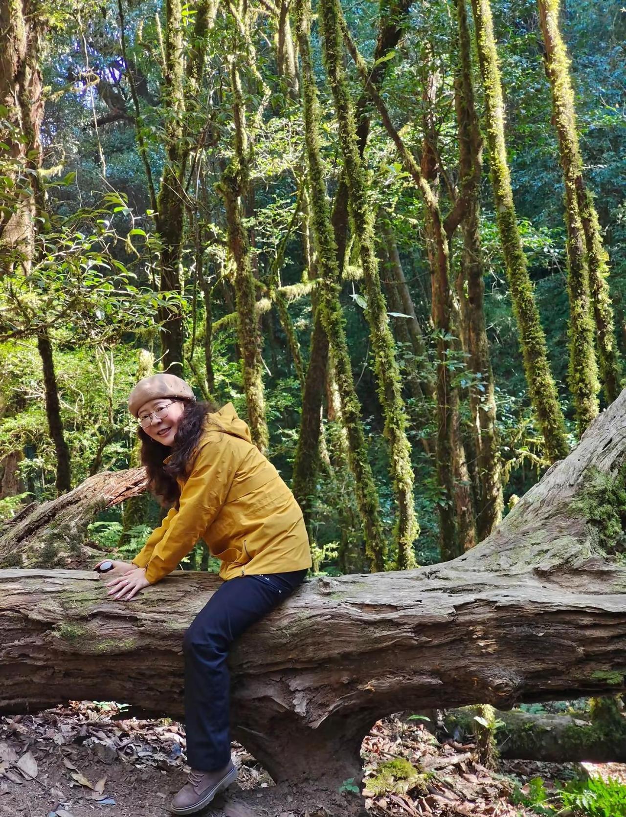 差一点就骑树难下了，这可不是人人都喜欢的游玩方式这是一种很新的爬山方式