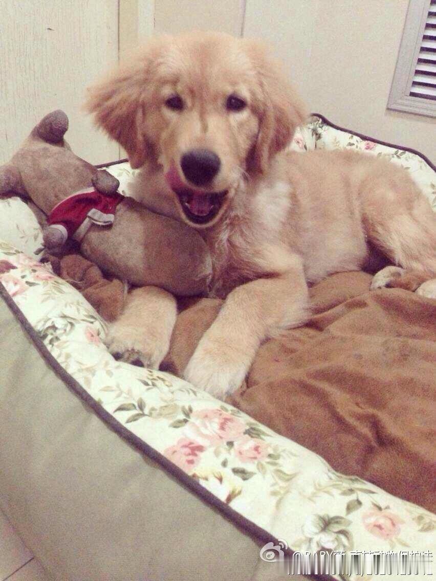 在这个充满温情与残酷交织的世界里，发生了一件令人心碎又令人愤怒的事情。一名保安在