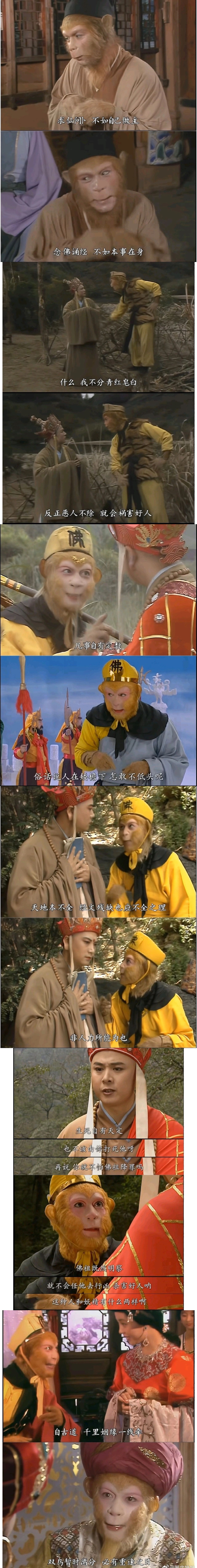 原来孙悟空才是活的最通透的人  #搞笑# ​​​