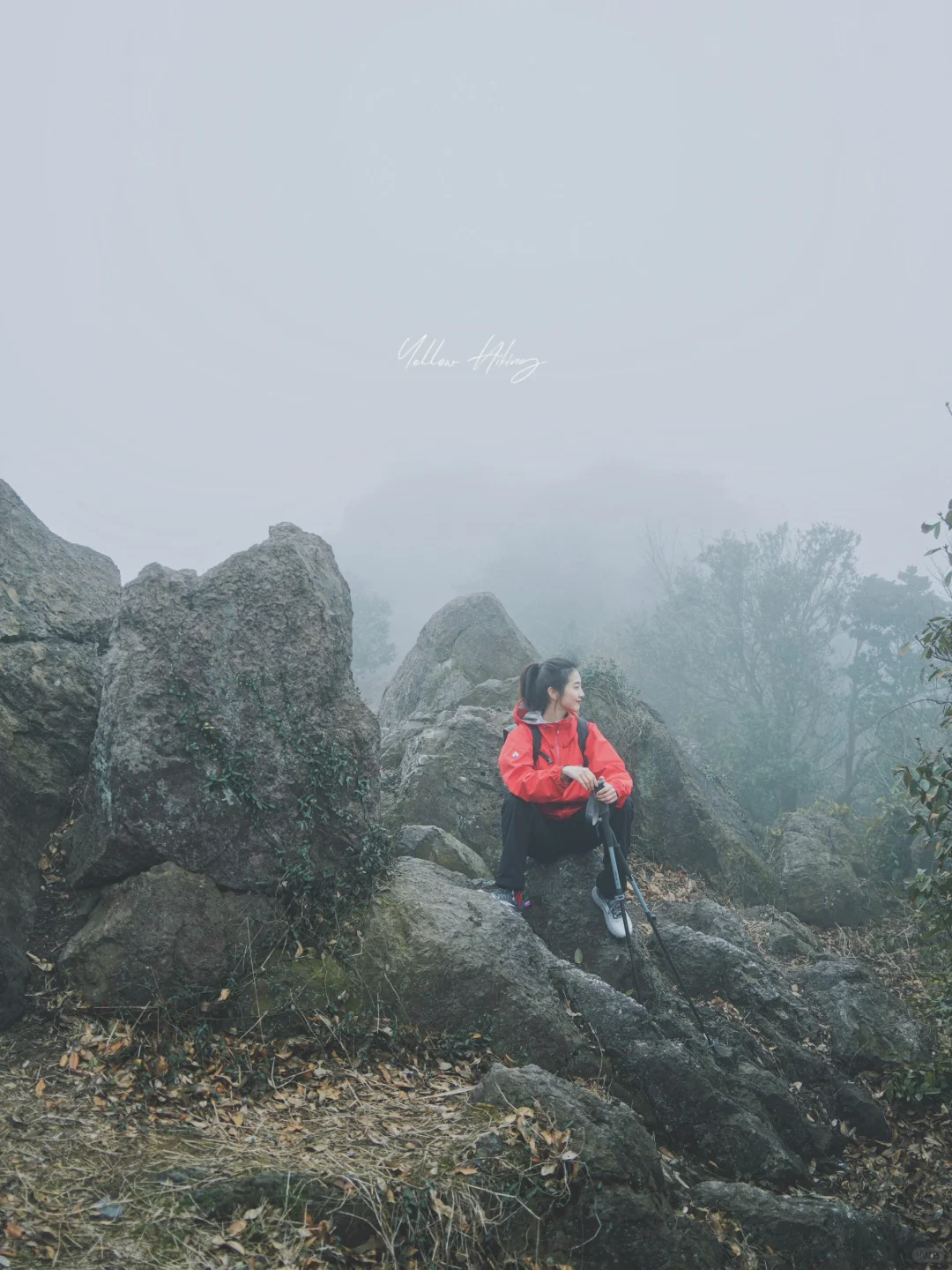 宁波爬山徒步｜在北仑迷雾森林掉了金手链