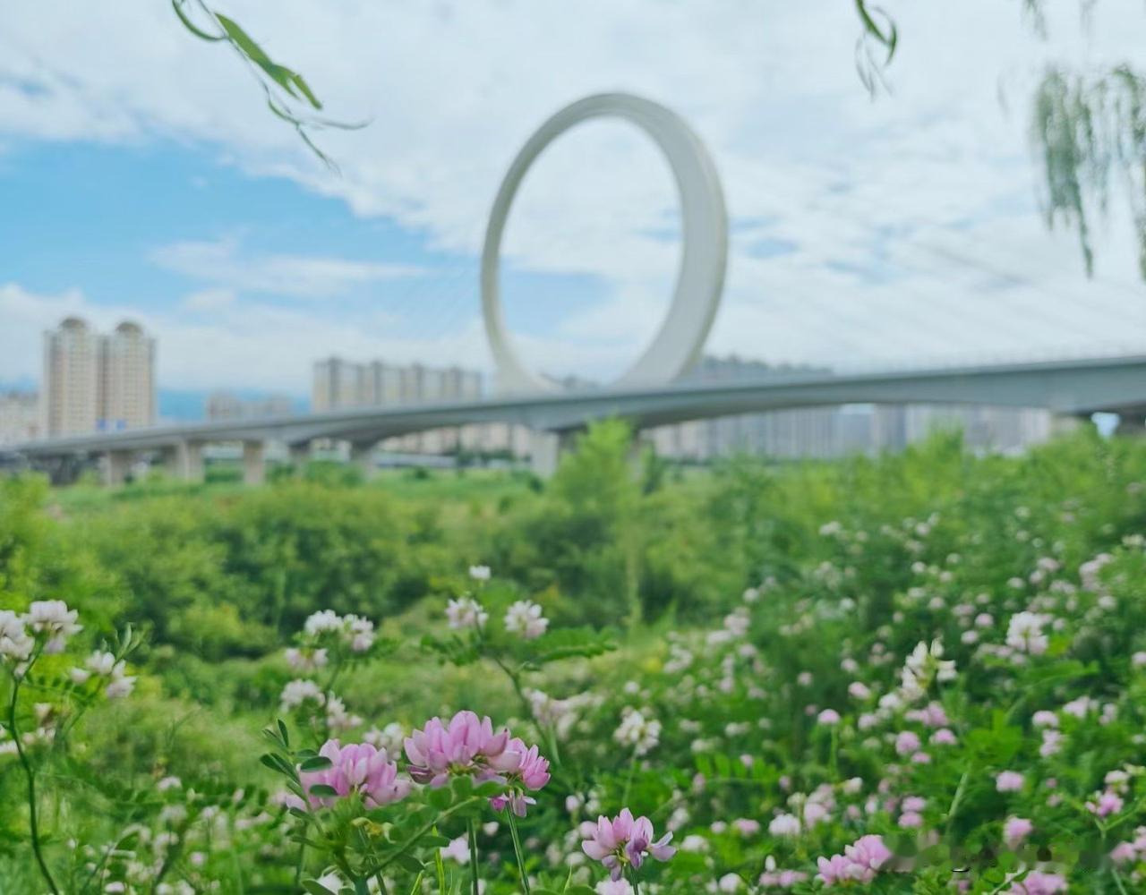 城市绿洲中的现代艺术，花海与高楼相映成趣秦岭终南山有哪些美景 晒晒雨中的绿意 西