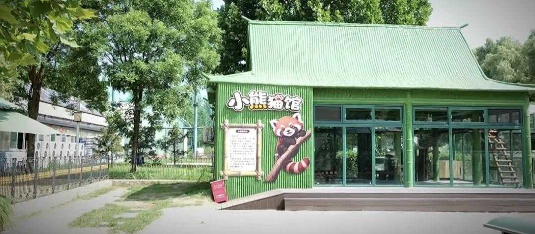 秦皇岛野生动物园来了新动物！这次是它们~
四川远道而来的四只国家二级保护动物小熊