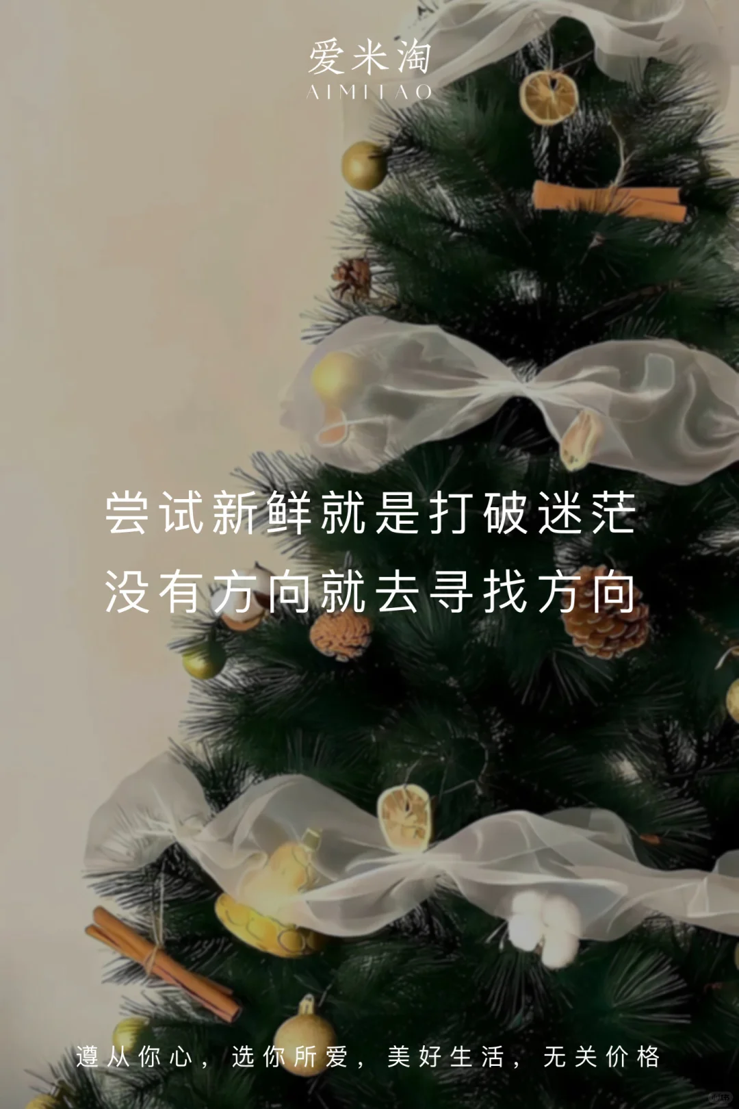 💕 	 一个人的形象气质、习惯个性、思维模式、认知水平、以及应对环境...