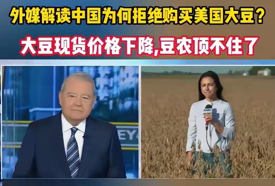 美国大豆这下可真是惨到家了，对华出口暴跌40%，直接一夜回到解放前，妥妥“爆仓”