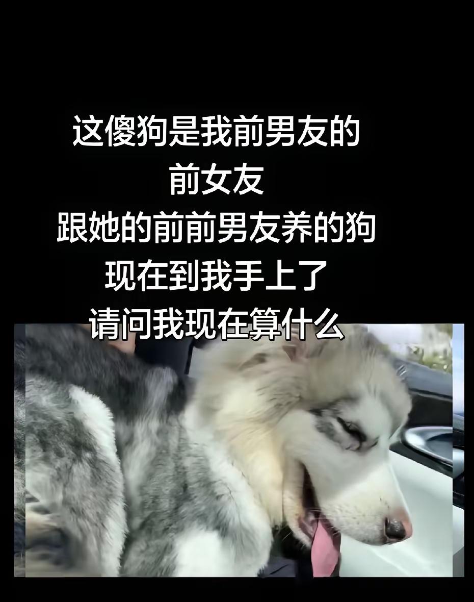 你得叫它声三叔公[黑线]