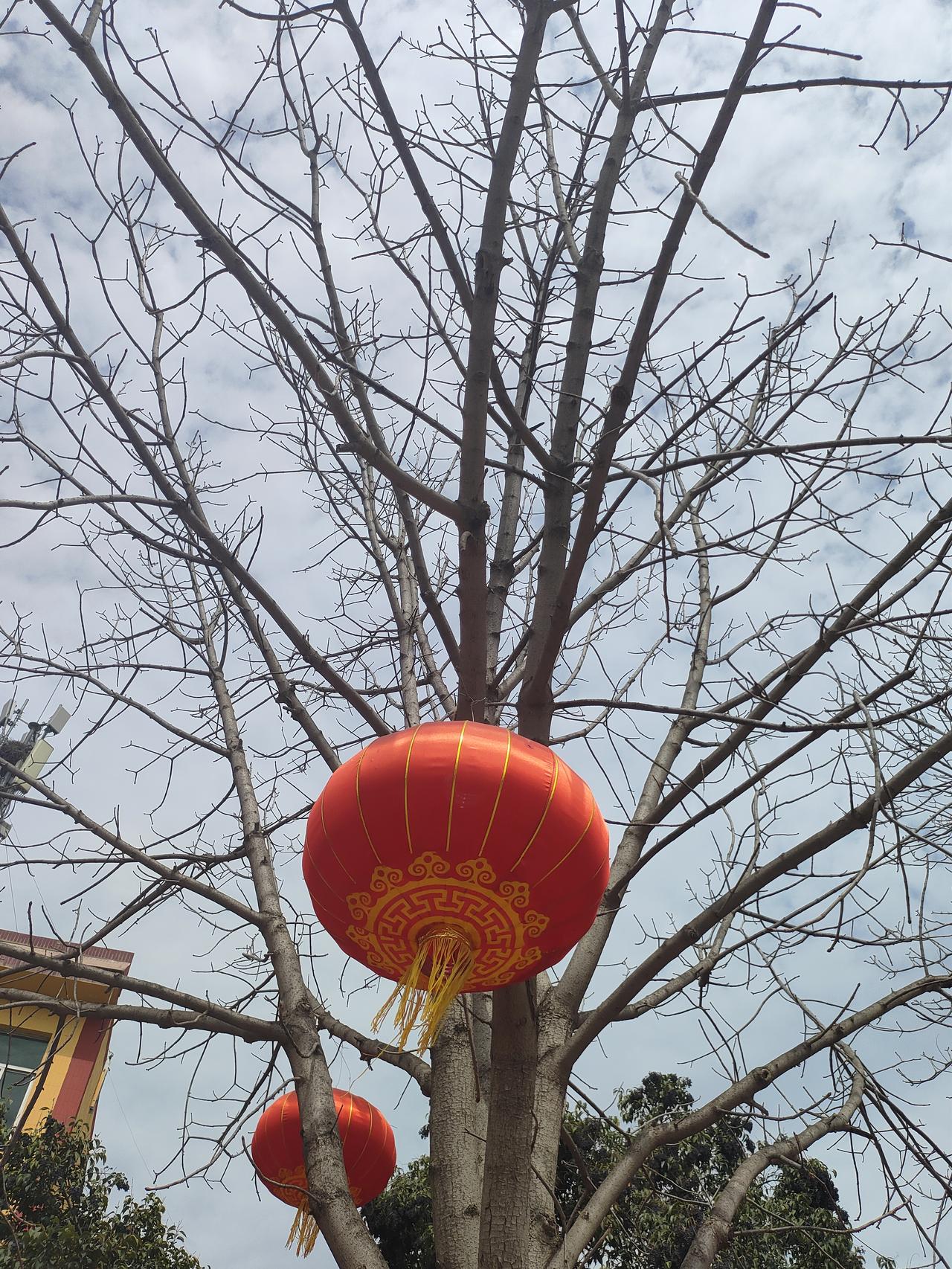 放下内卷，活出真我，真好
 
不知道从什么时候开始，我们好像都被卷进了一场停不下