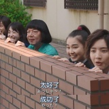 素荷爱看社会