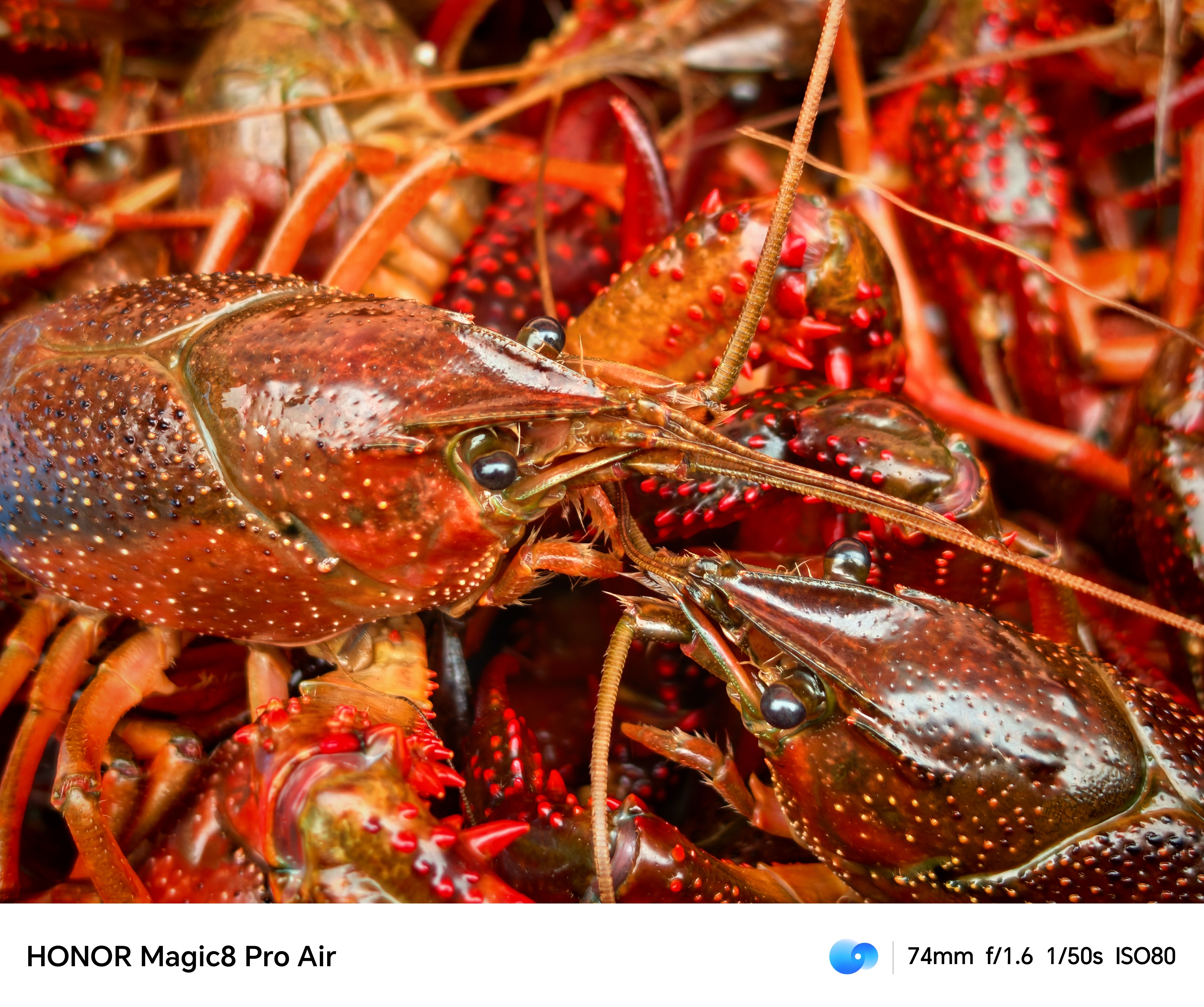 谁说 Air 就要阉割，小宇用荣耀 Magic8 Pro Air 拍照了些样张，