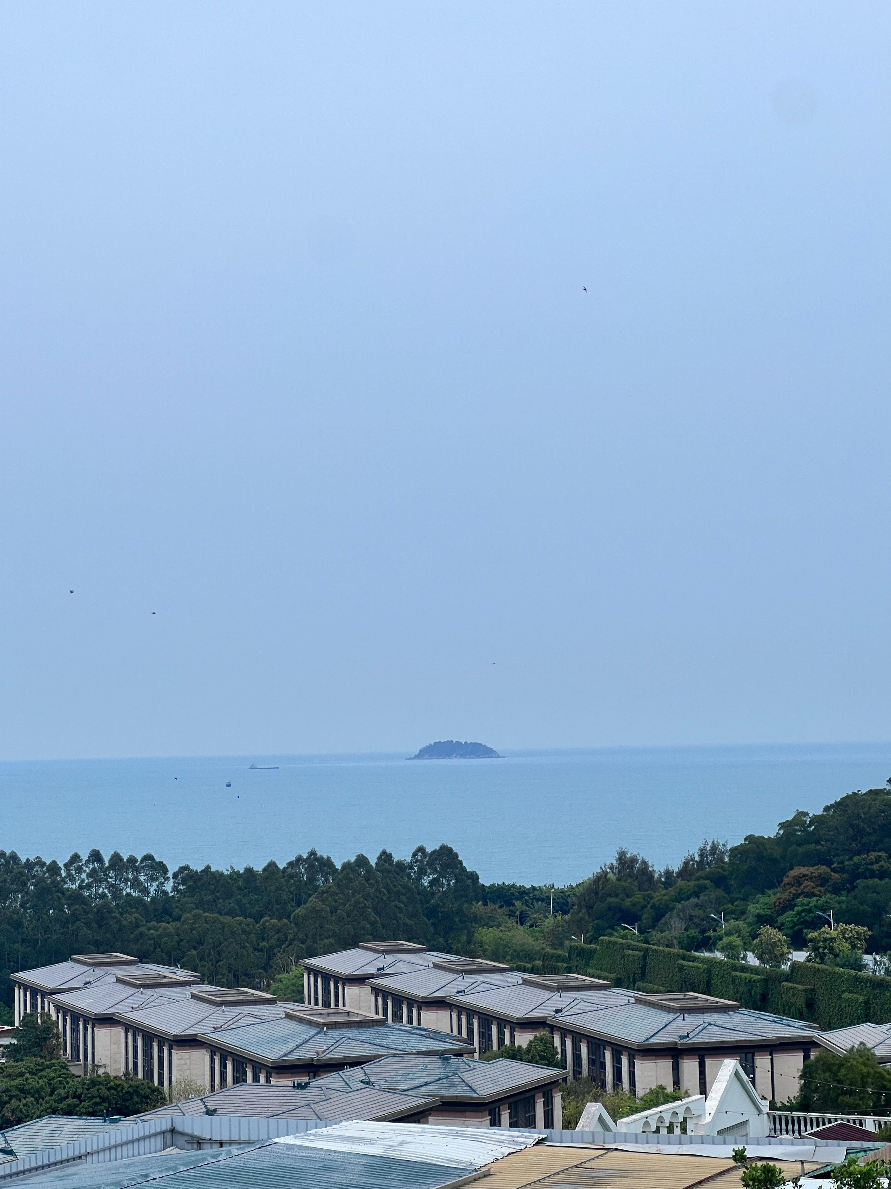 花花花花花人海海海海海好美呀呀呀呀  ​​​