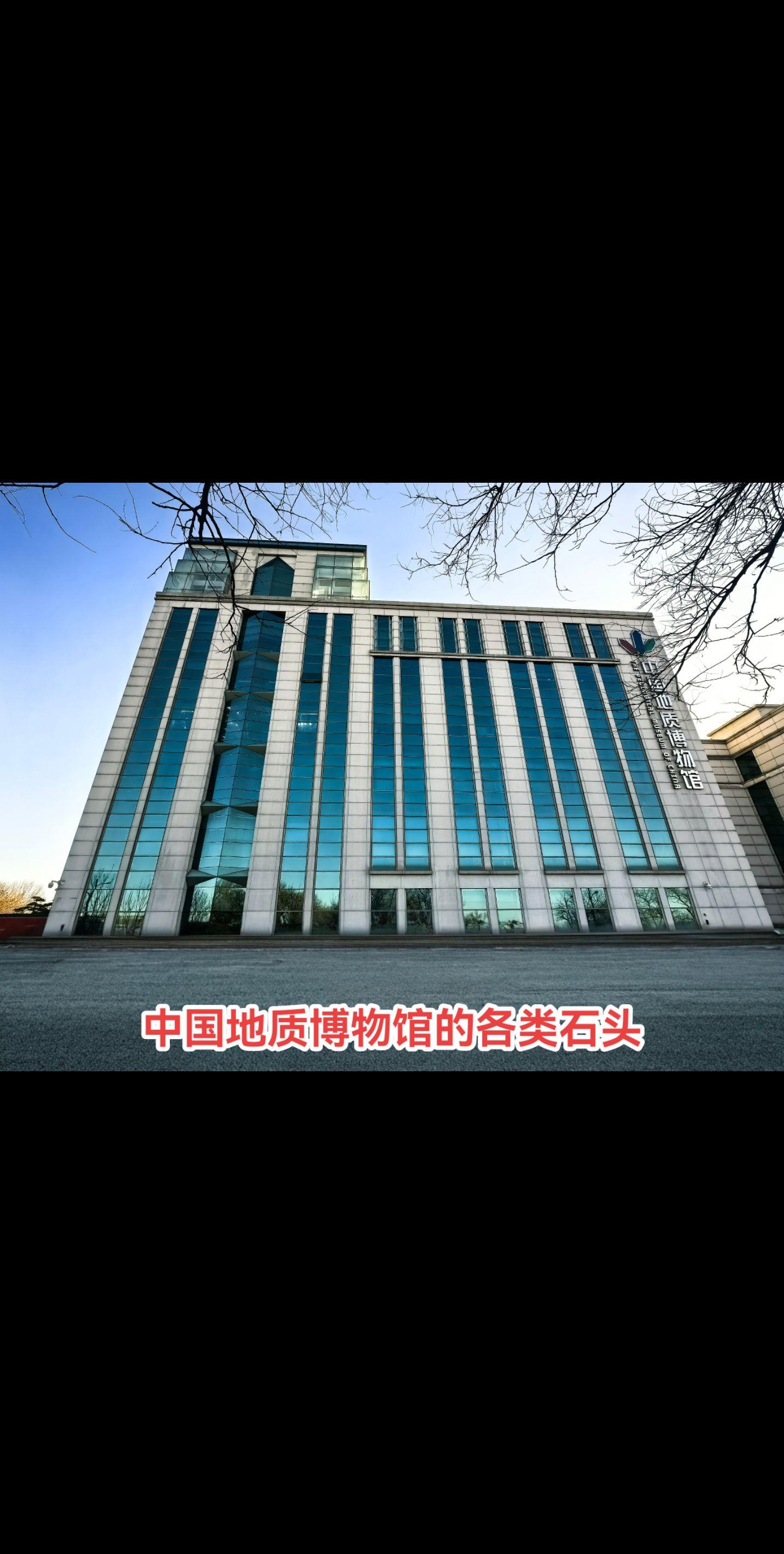 精美的石头。中国地质博物馆馆藏的石头