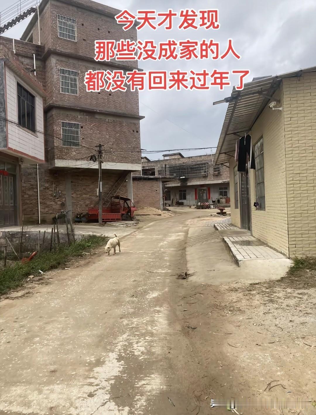 在村里转了一圈，才发现往年总聚在晒谷场抽烟的阿明、爱逗孩子的晓燕，今年都没回来。