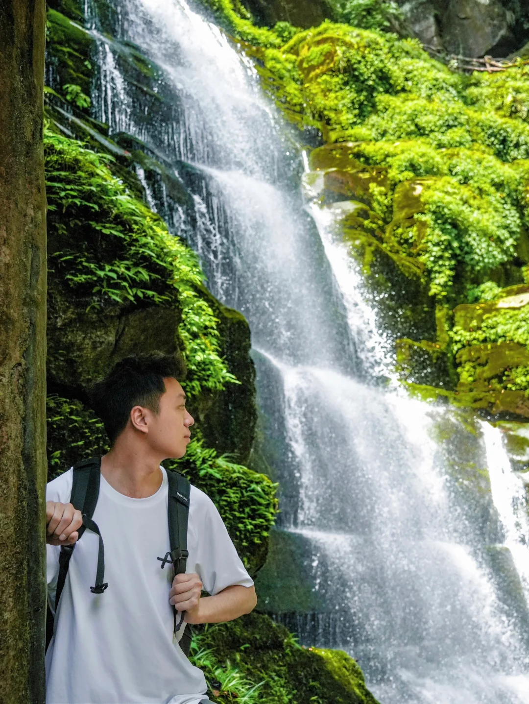 成都出发2h🌳峡谷秘境看百鸟归林、飞天瀑布