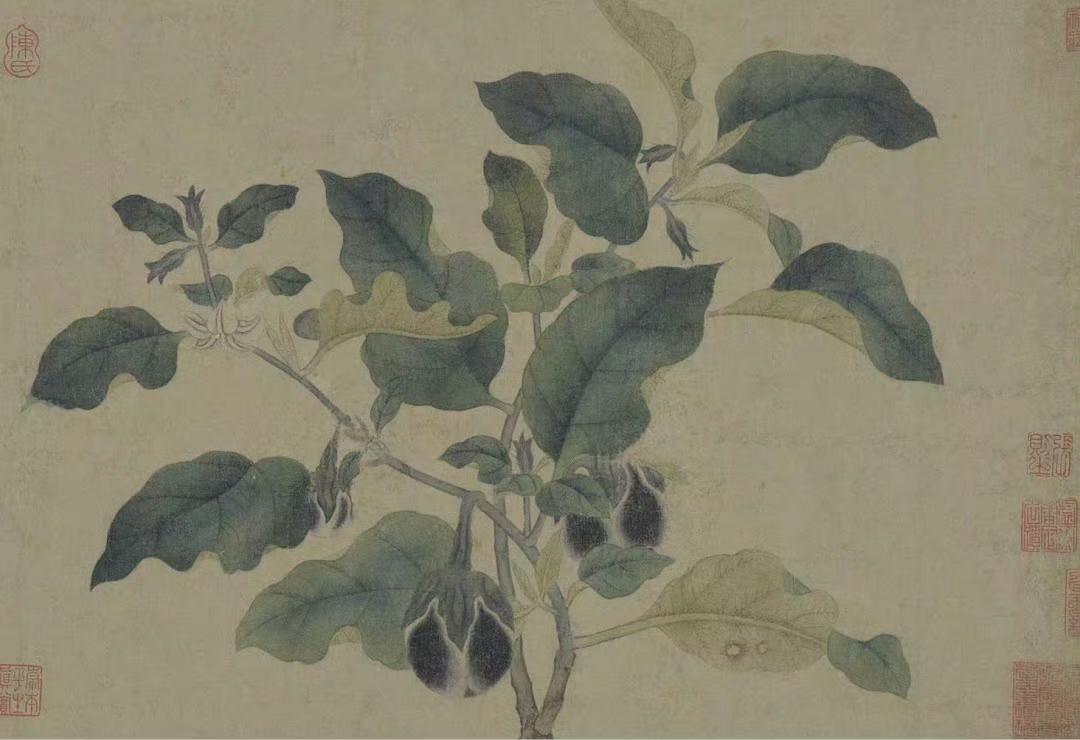 古画里的茄子，画的也太像了。
宋朝时候就已经有咏茄子的诗了:
青紫皮肤类宰官，光