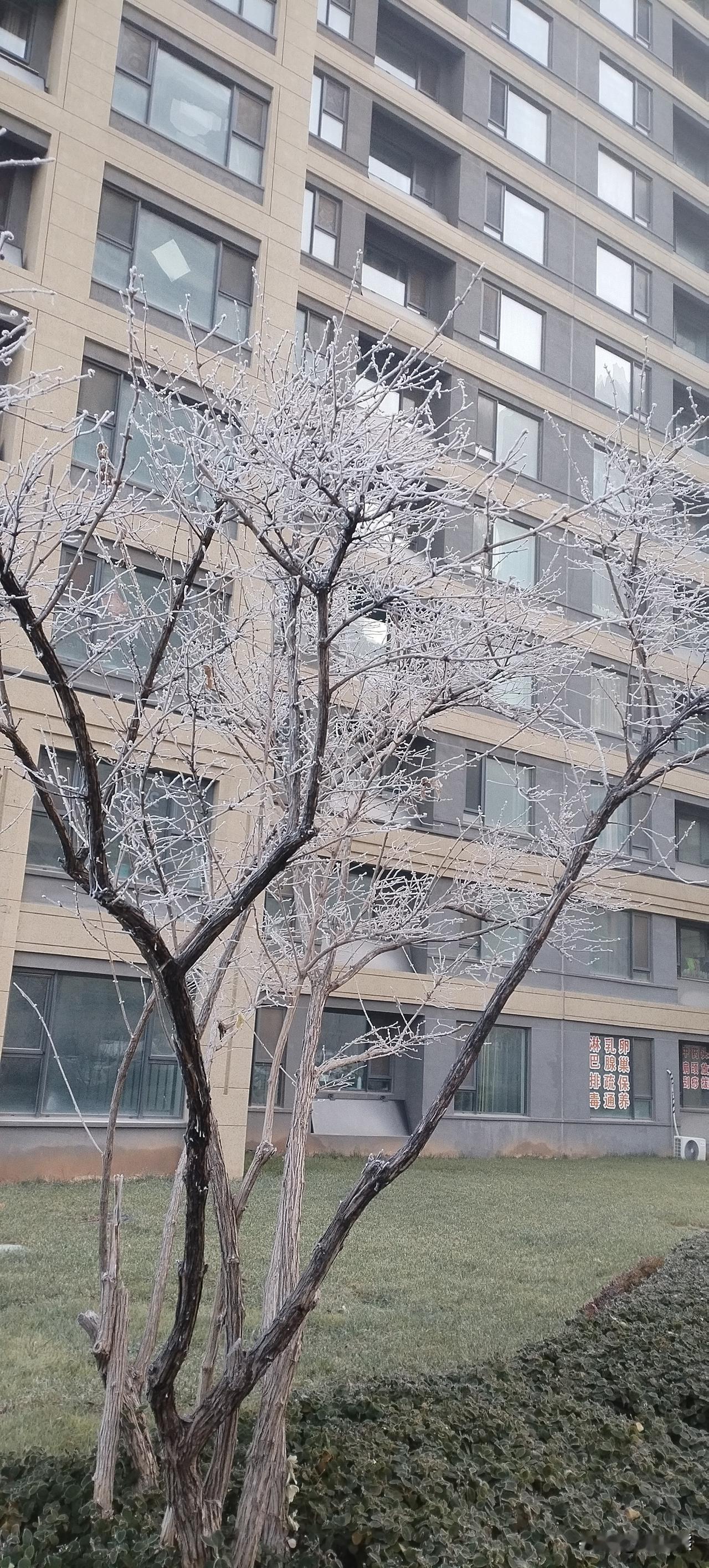 心累的时候，睡觉最管用。
心累了，提不起劲，好好睡觉就会恢复精力。睡醒了，浑身像