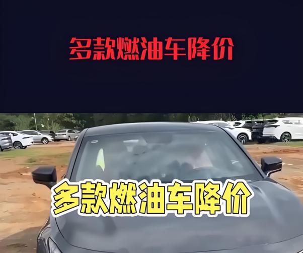 燃油车价格全线崩塌，汽车市场正式进入配置平权时代
2026年的汽车市场，正在上演