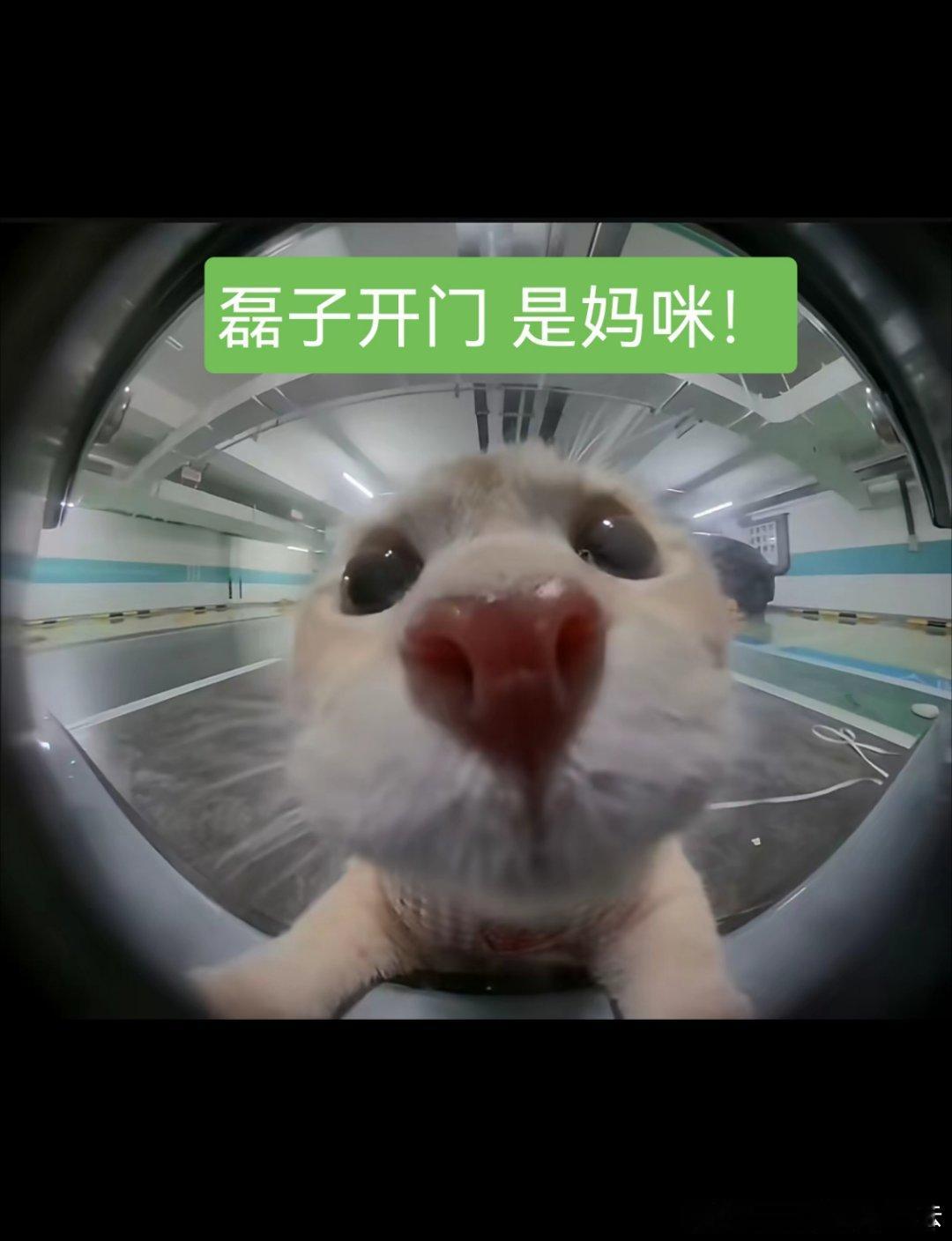 终于熬穿了小组赛接下来几天还好没有在意的比赛了收拾收拾出发探望好大儿了！ 