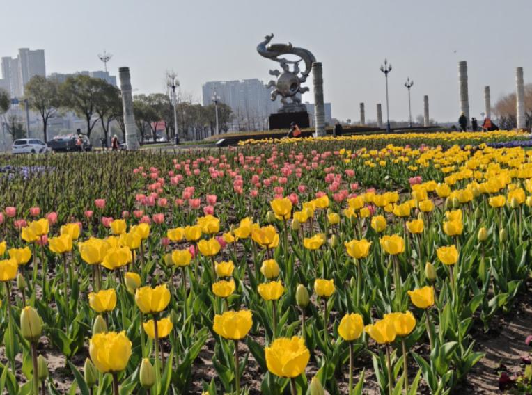 荆州人春季赏花不用远跑！家门口这场花会美到出圈
一到春天想赏花拍照，总觉得要跑很