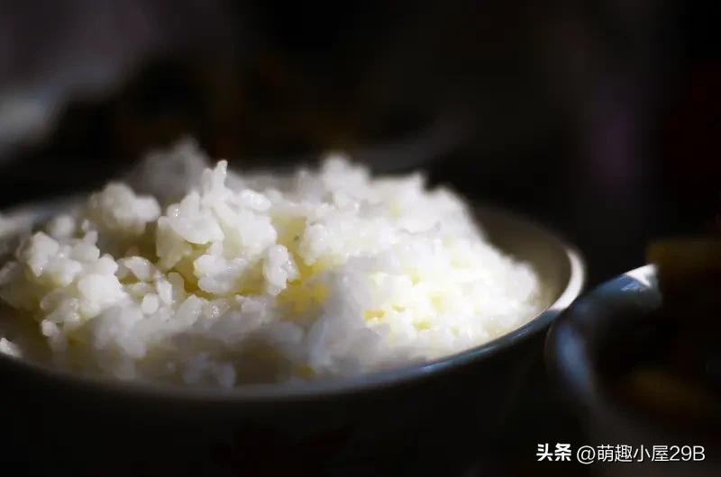 最近，我发现了一份极为实用的《20日营养小贴士》，其中提到对主食稍作调整，便能降