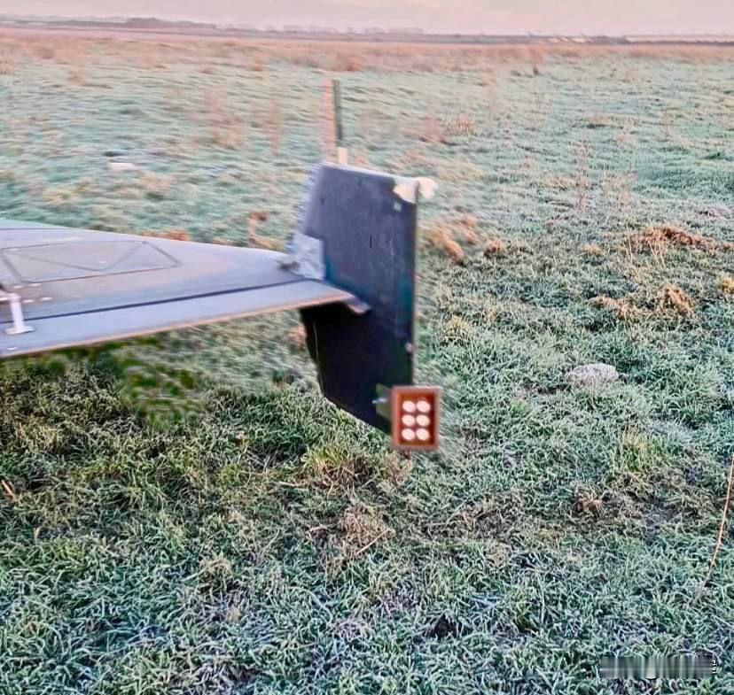 【晃眼睛】乌克兰无线电技术领域军事专家、呼号“闪电”的谢尔盖·贝斯克列斯诺夫称，