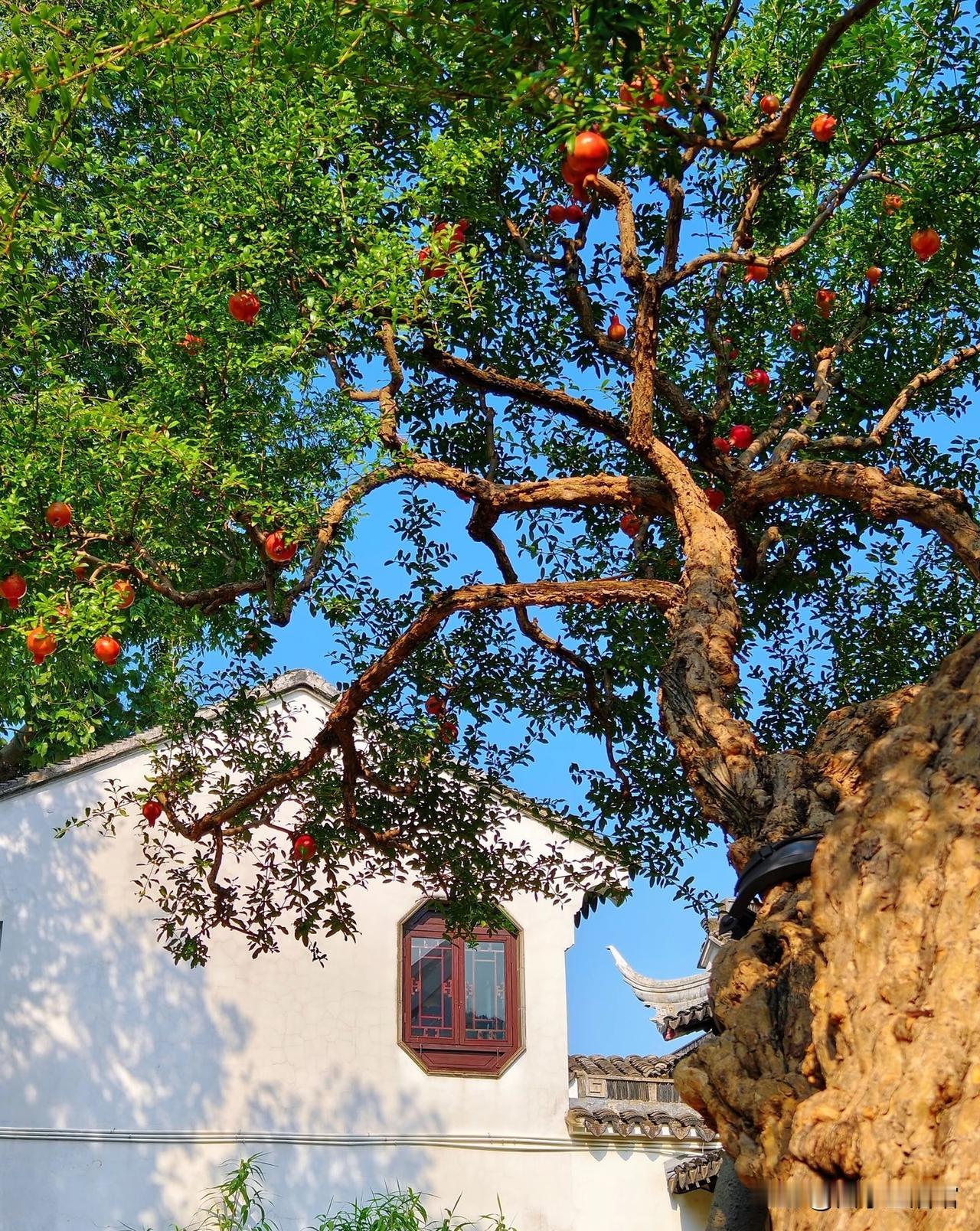 道德经告诫：5条处世准则，守住便能家兴业旺
 
1.言语慎行，祸从口出。闲话少论