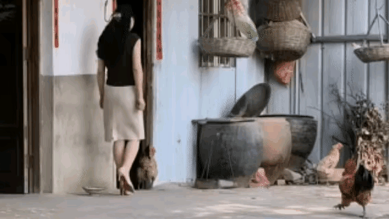 穿裙子的女人你别走，大战三百回合