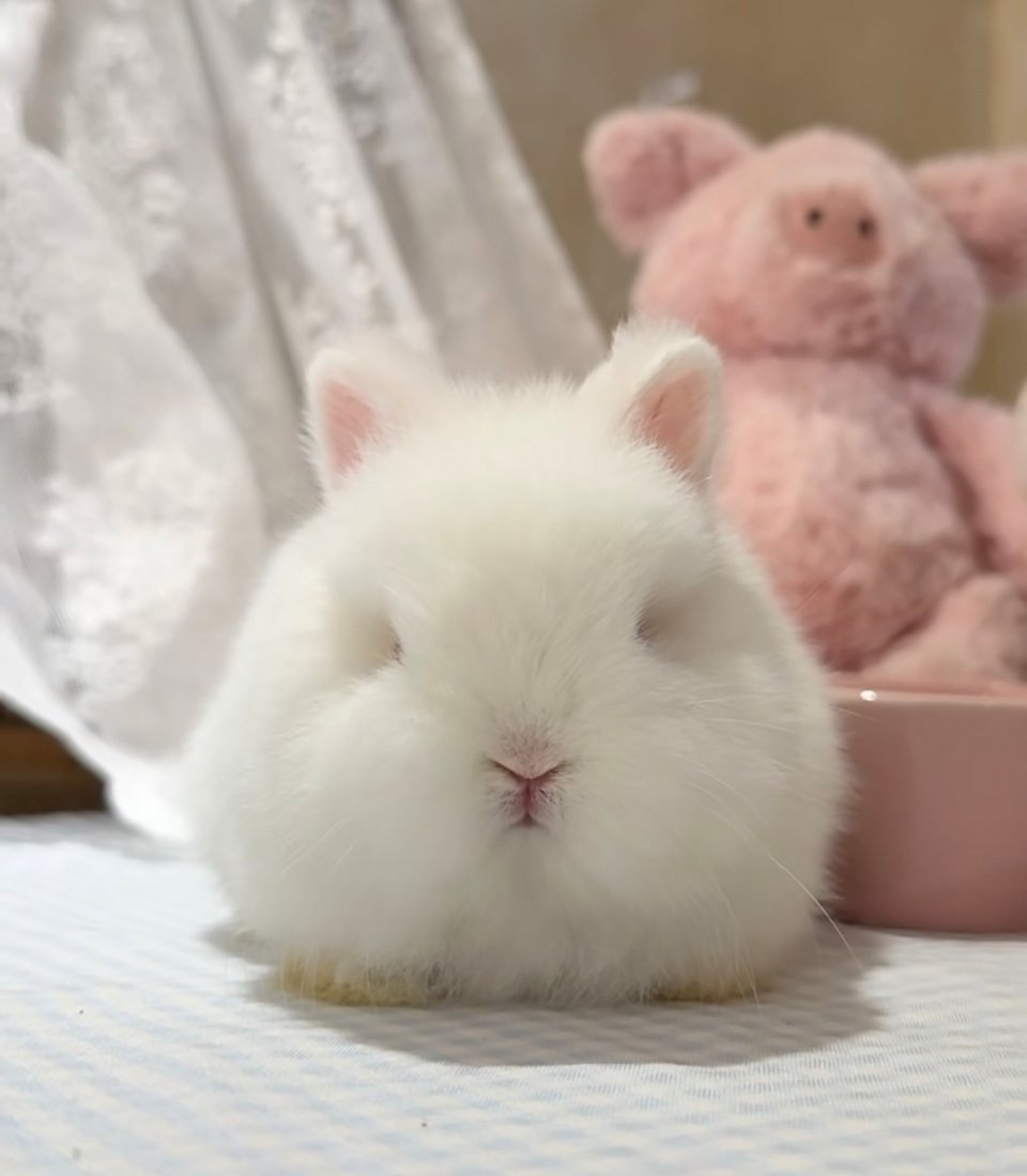 雪纺泥小时候 