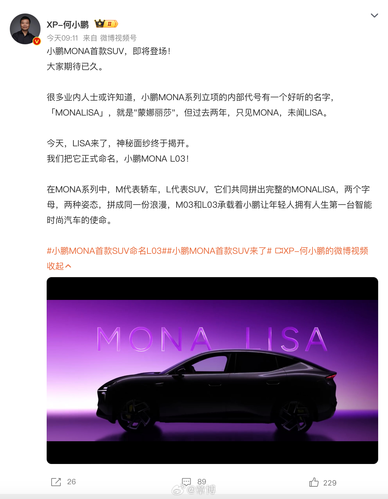 小鹏今早官宣太有氛围感，MONA系列首款SUV正式定名L03，起名细节真的戳人✨