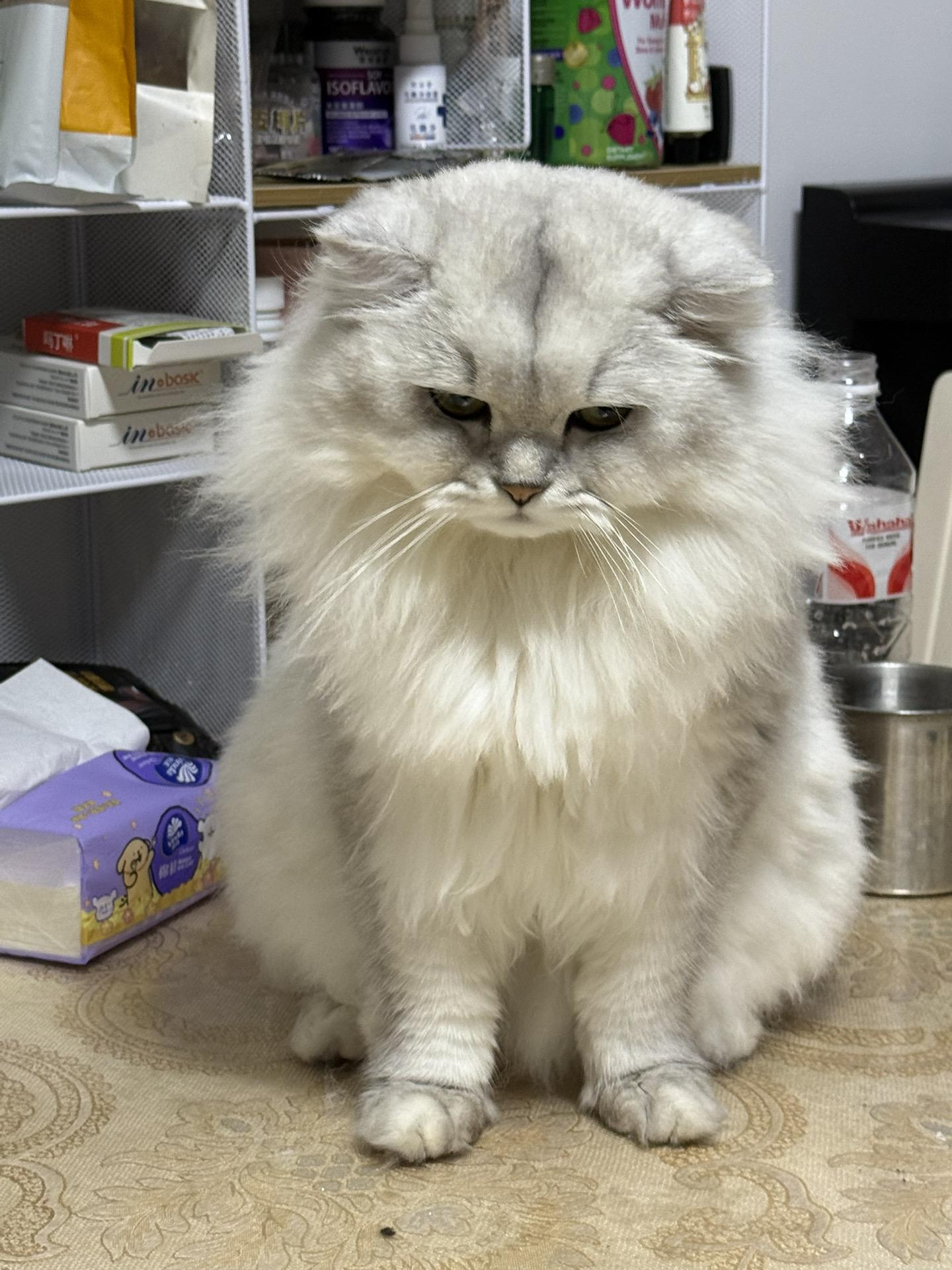 生活总是这样老是这样