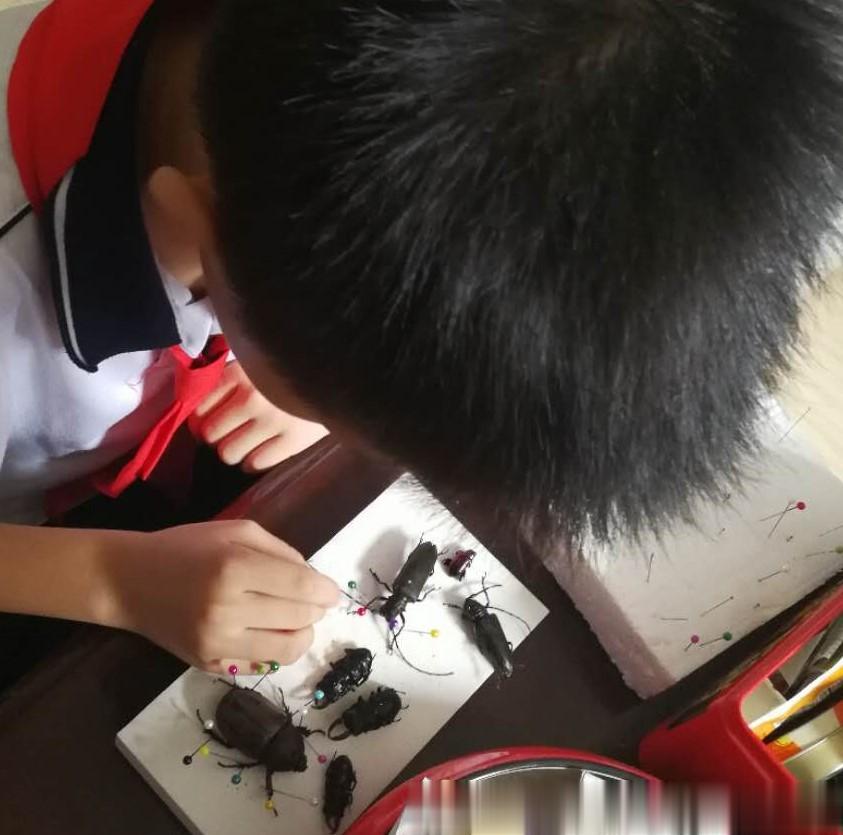 #你让孩子学医吗# #志愿种草季# 志愿填写是一个很困难的时期，学医的争论巨大，