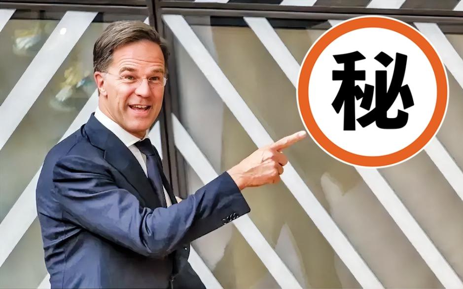 就在刚刚！
荷兰宣布了一件大事！

11月7日，荷兰经济部长卡雷曼斯对外宣布：荷