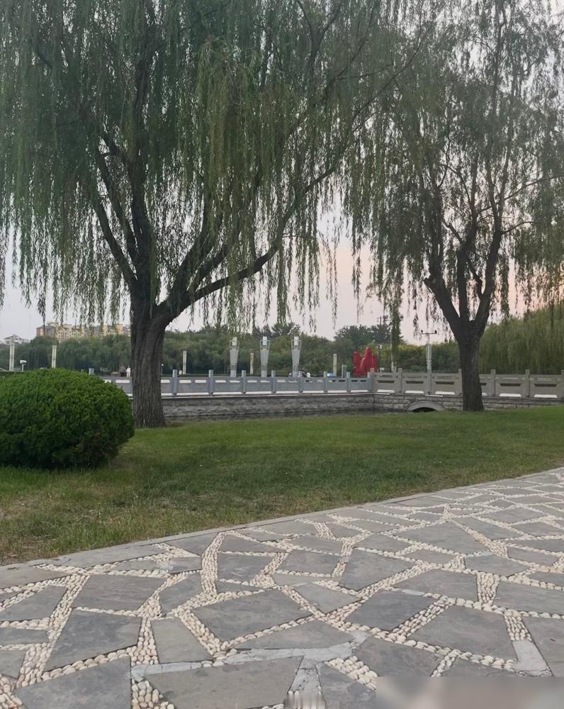 人真的不能太圆满。

这话我以前不懂，直到回头看了身边这两个人。一个什么都占全了