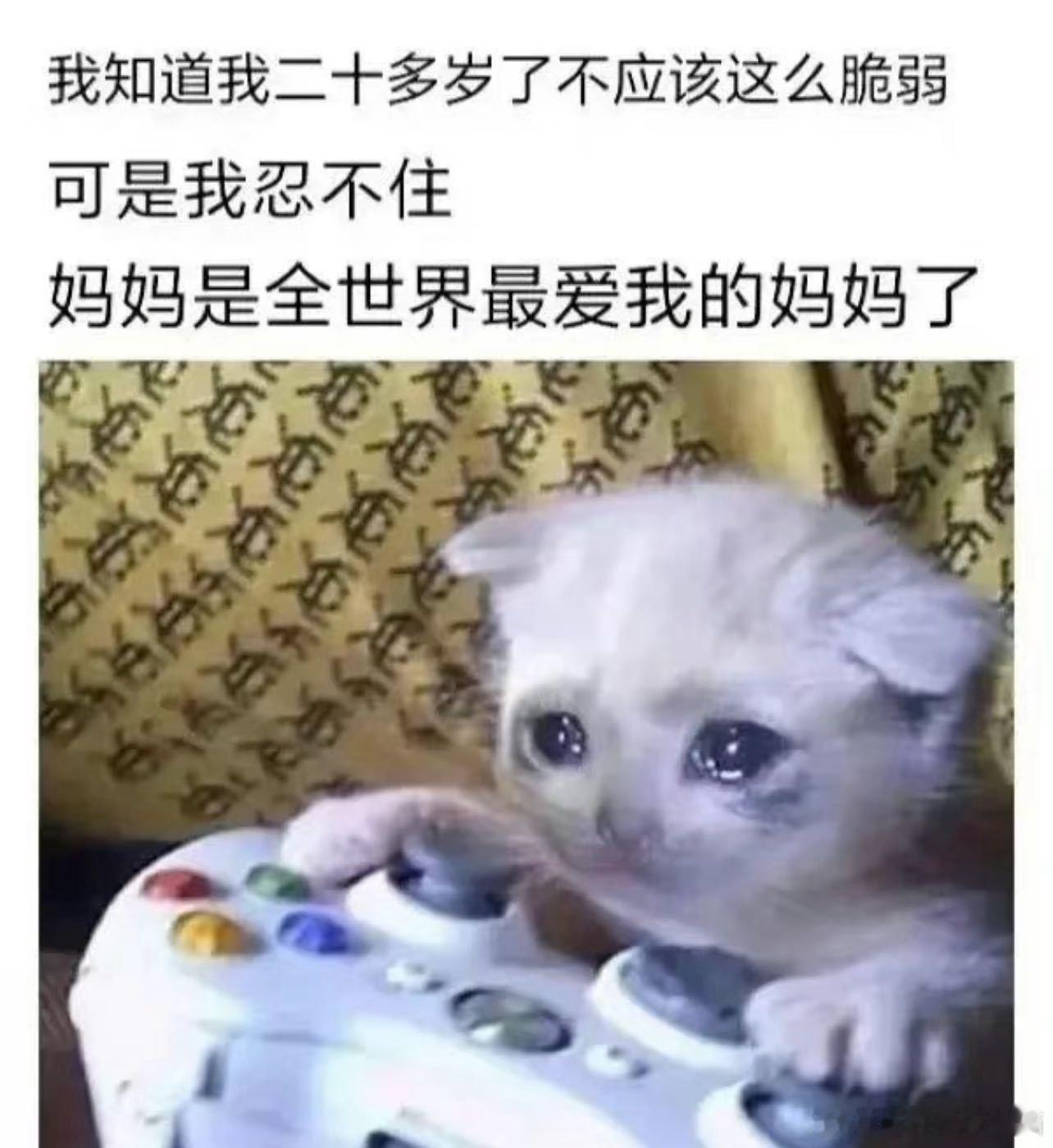 内娱想破头都拍不出这样的母爱 暴雨夜母亲凿开冰箱厚冰，热水泡脚后变怪物，片中母爱