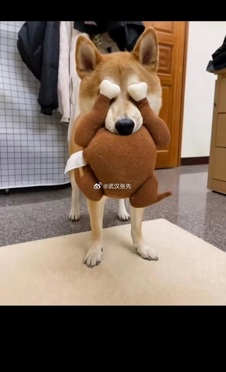 目前整个盘面商品要么是之前提前下手布局，做对了拿的住，要么是跑超短线止痒，整体上